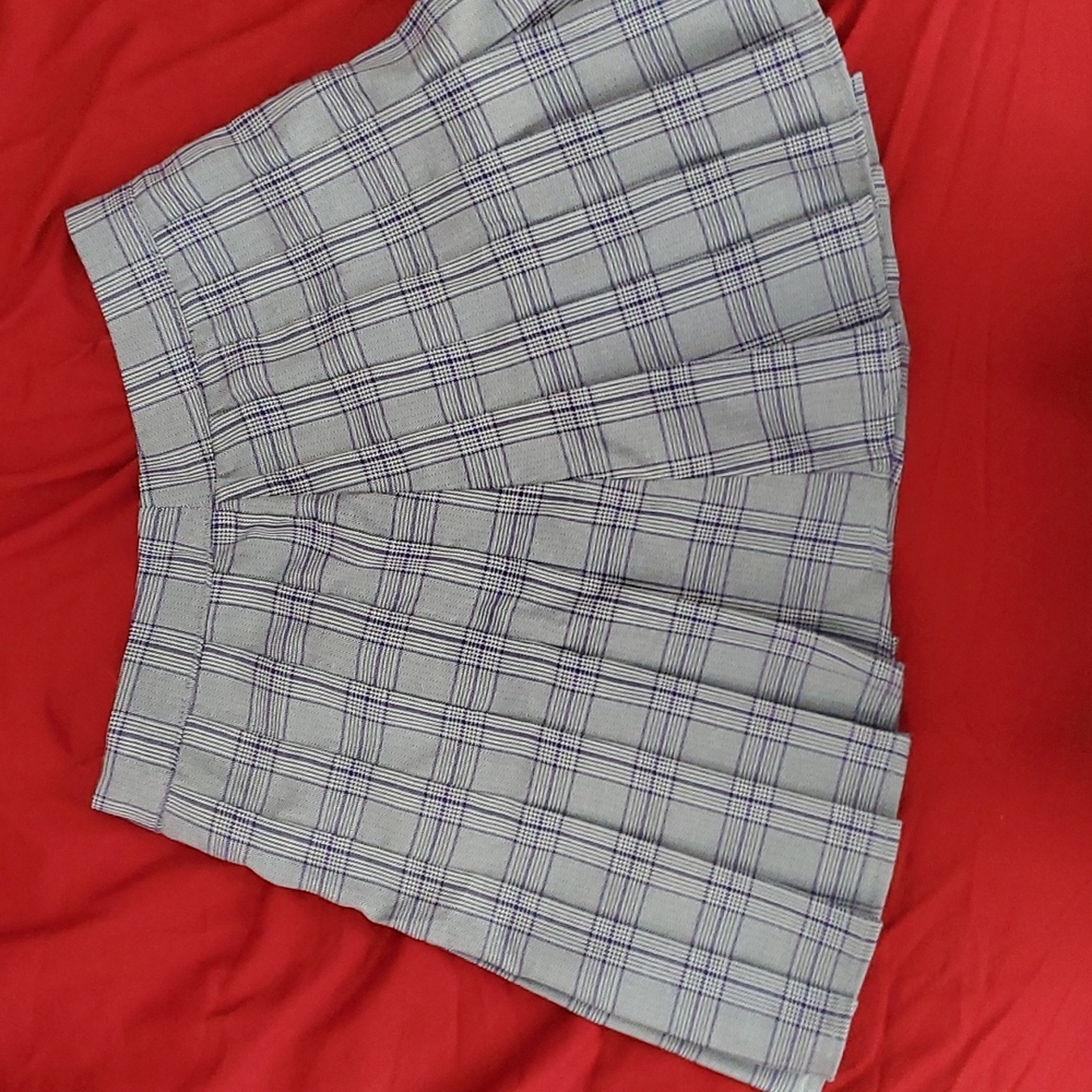 Pleated Skirt